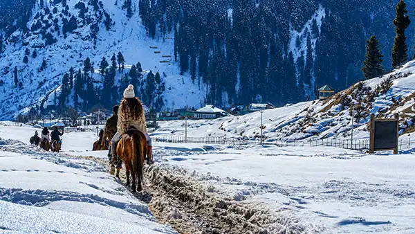 Kashmir Tour Package
